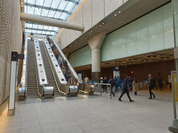 One of the sets of exit escalators from the Elizabeth line ticket hall