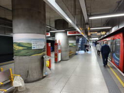 The platforms